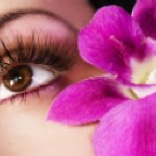 One on One Lash Extensions